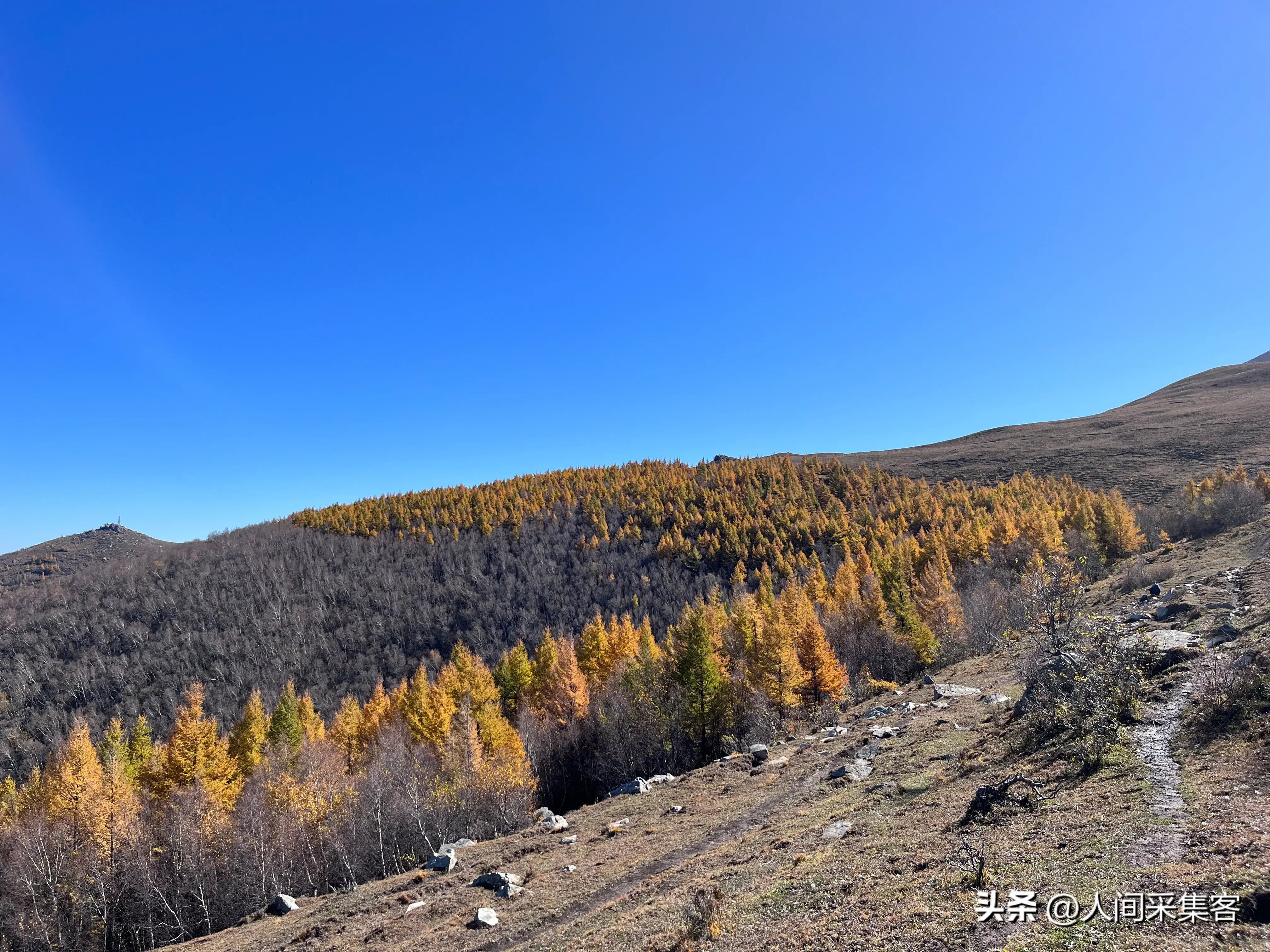 十首关于落叶的唯美诗词，每一首都穿越了岁月，温暖了时光(图5)