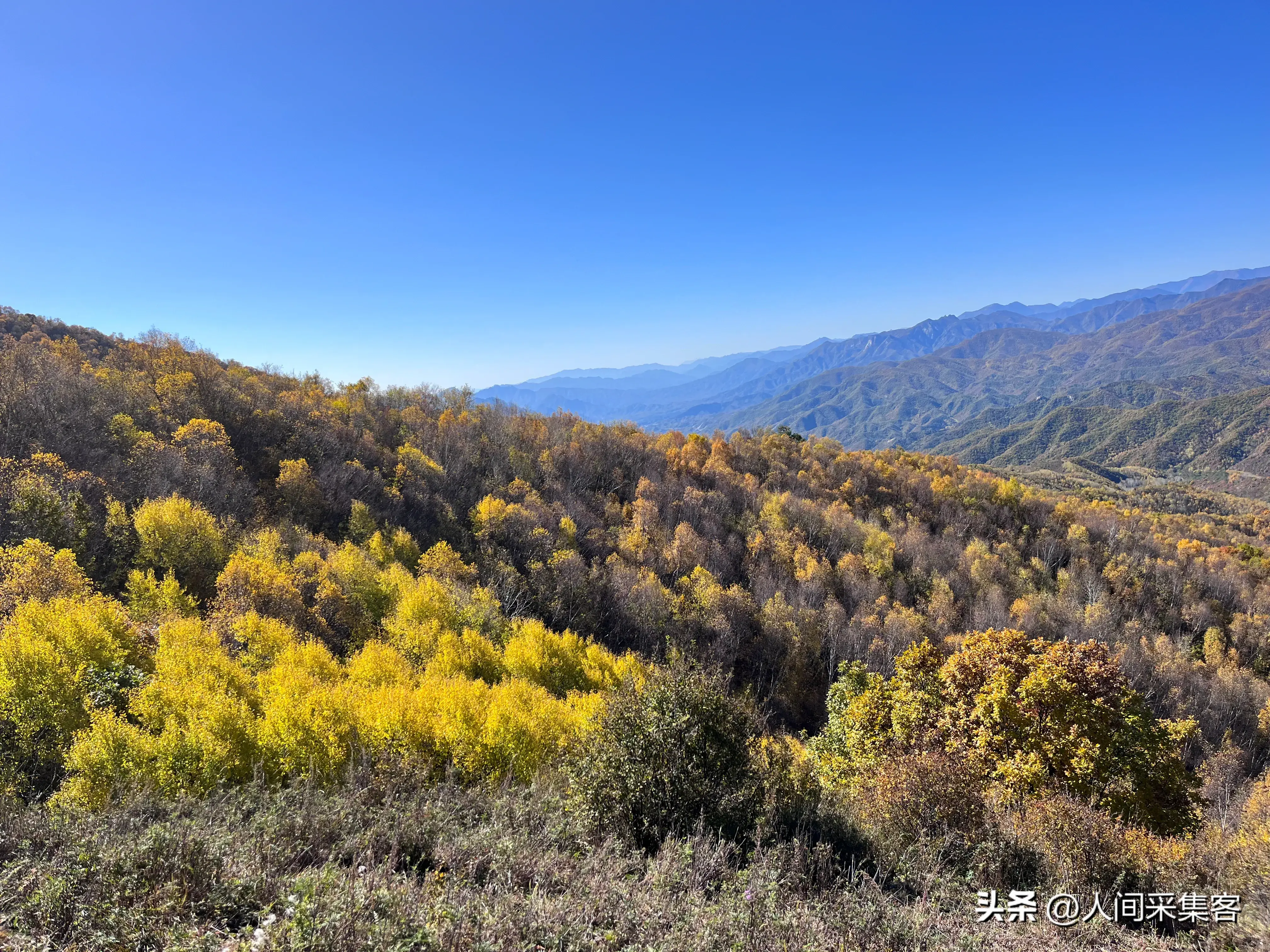 十首关于落叶的唯美诗词，每一首都穿越了岁月，温暖了时光(图6)