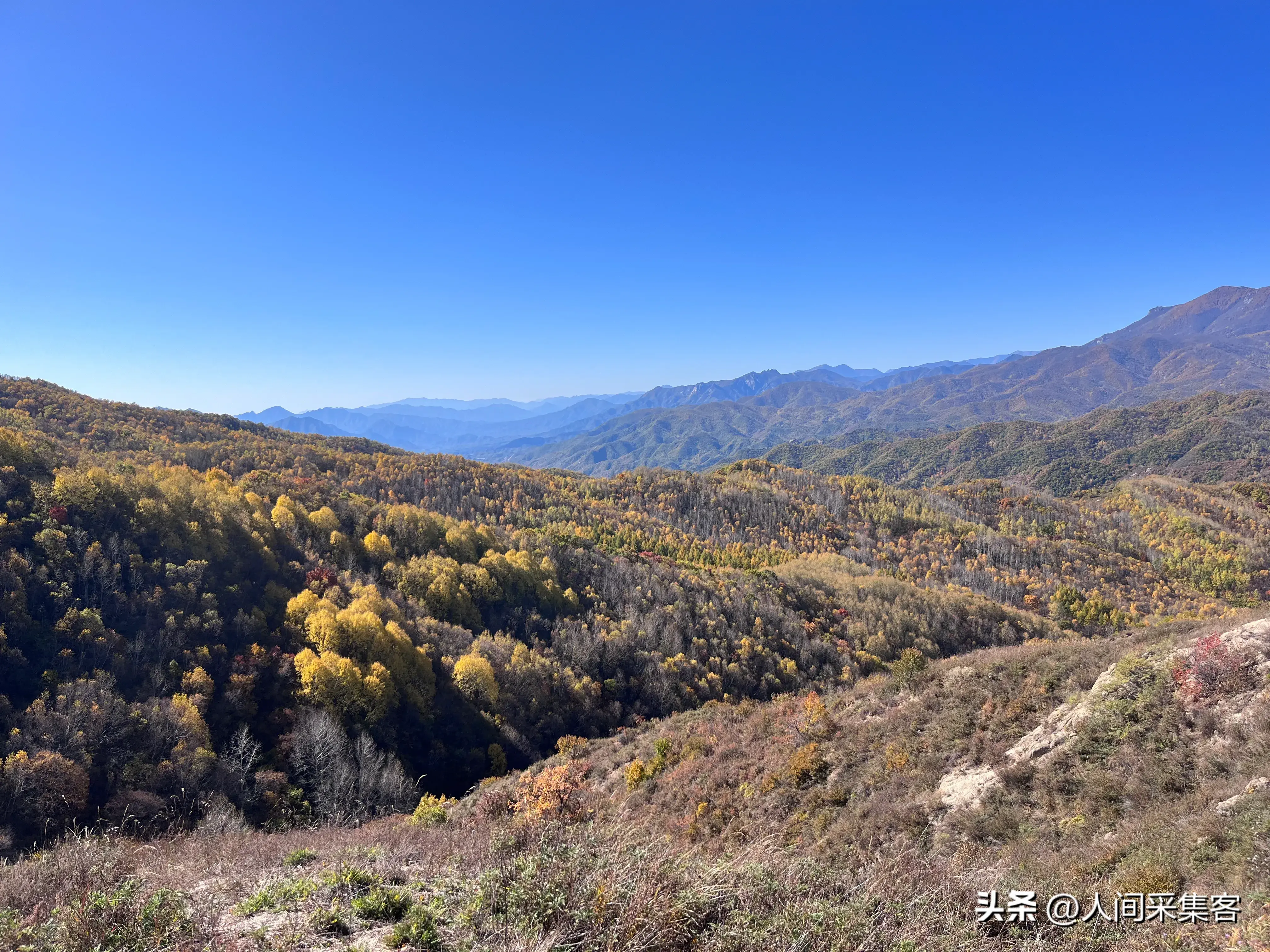 十首关于落叶的唯美诗词，每一首都穿越了岁月，温暖了时光(图7)