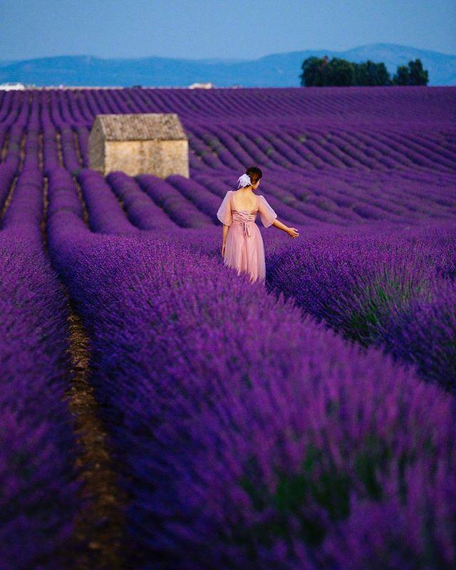 放不下过去的伤感句子，哪一句让你红了眼眶？(图2)