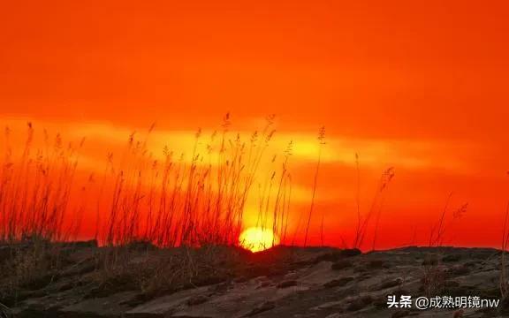 霞光万丈，光彩夺目，璀璨光辉的旭日东升美图欣赏(图2)