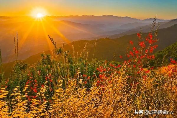 霞光万丈，光彩夺目，璀璨光辉的旭日东升美图欣赏(图16)