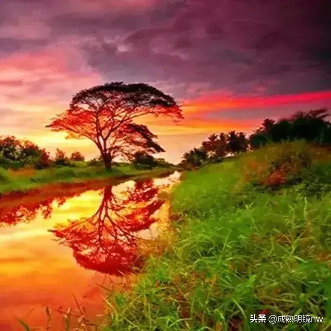 霞光万丈，光彩夺目，璀璨光辉的旭日东升美图欣赏(图23)