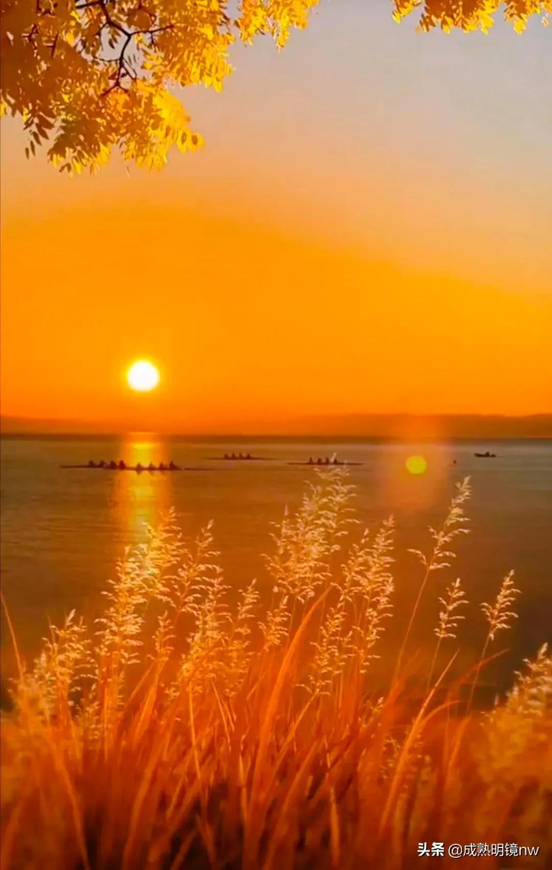 霞光万丈，光彩夺目，璀璨光辉的旭日东升美图欣赏(图25)