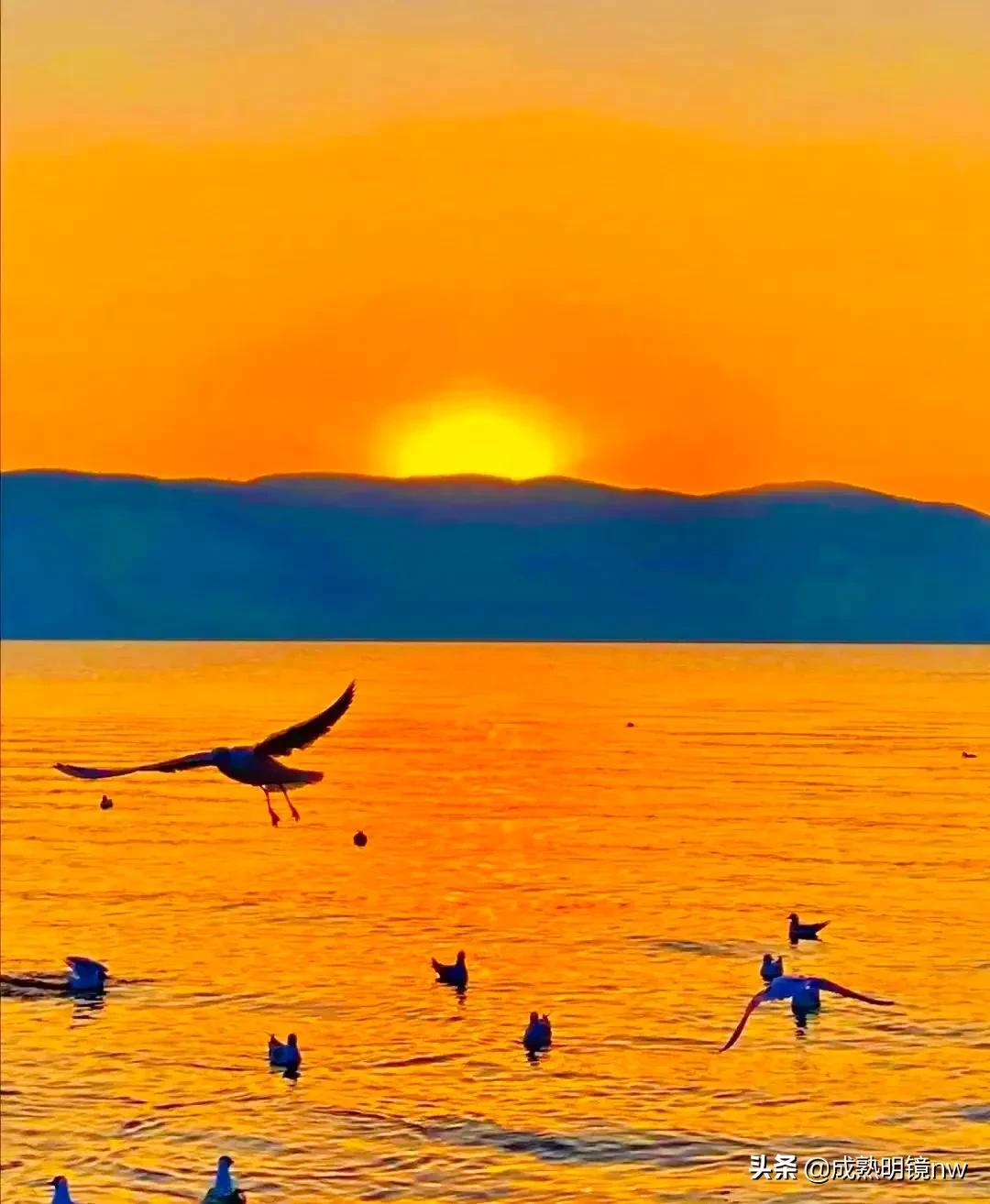 霞光万丈，光彩夺目，璀璨光辉的旭日东升美图欣赏(图28)