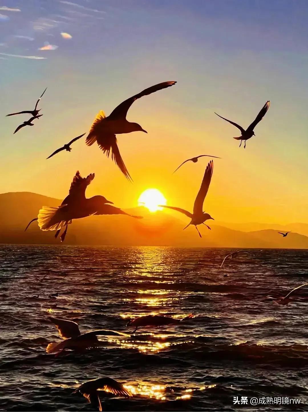 霞光万丈，光彩夺目，璀璨光辉的旭日东升美图欣赏(图31)