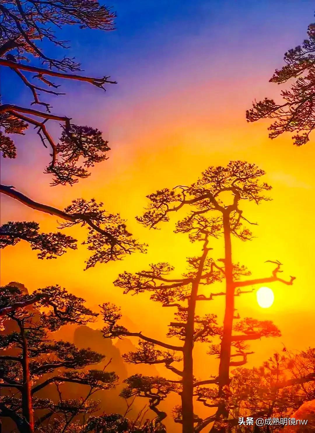 霞光万丈，光彩夺目，璀璨光辉的旭日东升美图欣赏(图33)