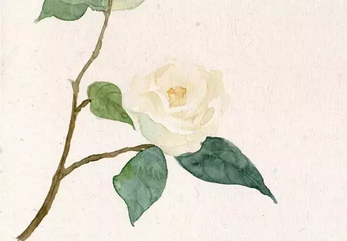 无酒不成诗，史上最经典的50首饮酒诗词大盘点(图4)