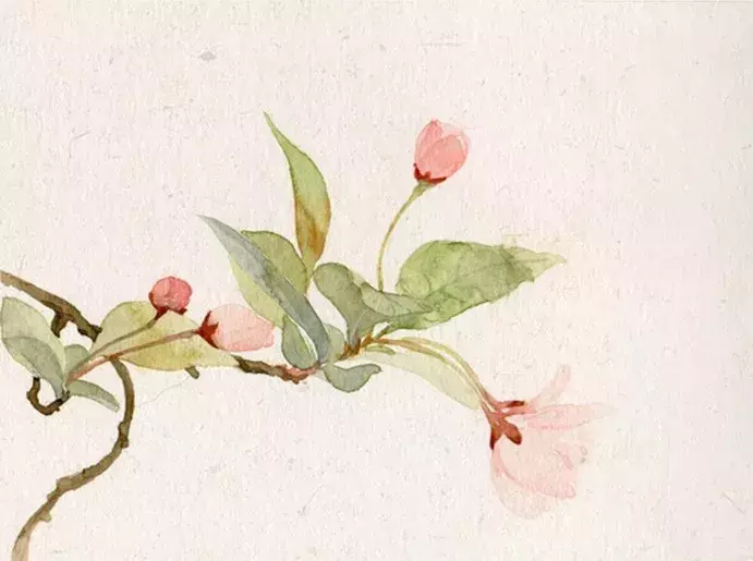 无酒不成诗，史上最经典的50首饮酒诗词大盘点(图7)