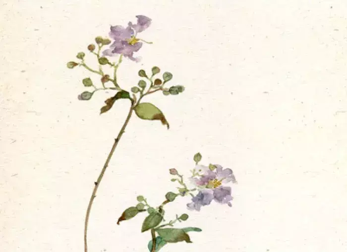 无酒不成诗，史上最经典的50首饮酒诗词大盘点(图16)