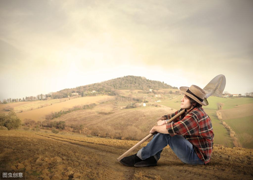 出走半生，归来时，我仍是个乡下人(图3)