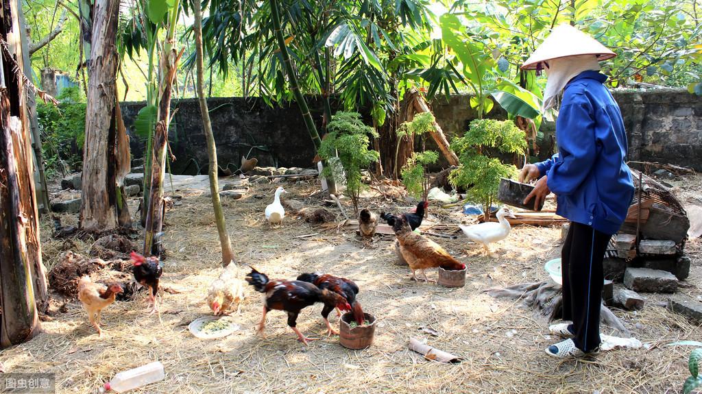 出走半生，归来时，我仍是个乡下人(图5)