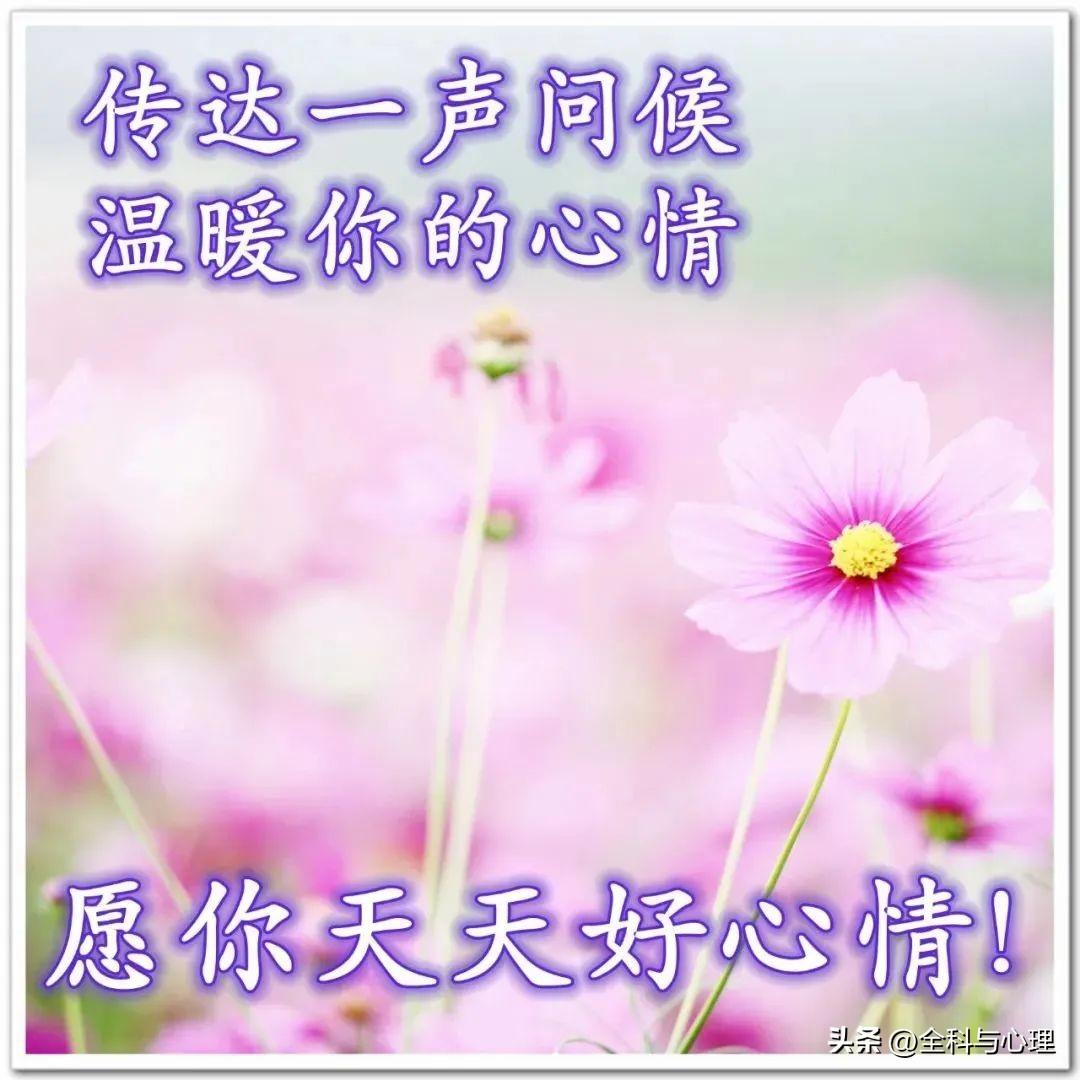 不惹眼，不闹腾，人生是一道亮丽的风景线，(图1)