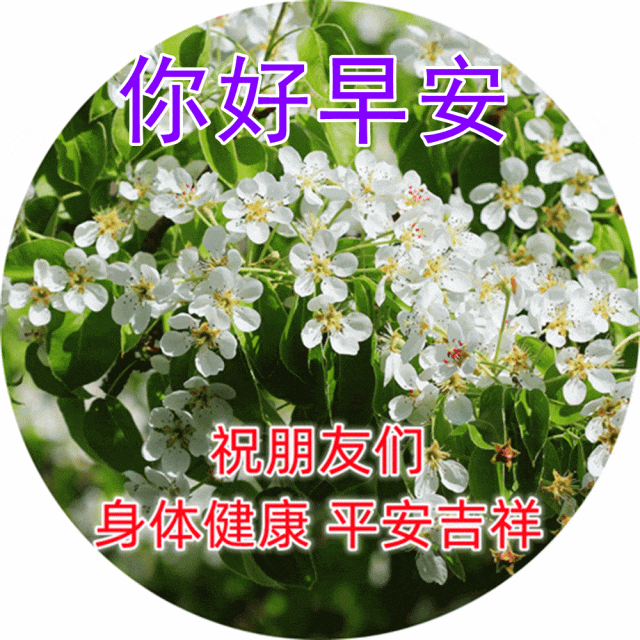 不惹眼，不闹腾，人生是一道亮丽的风景线，(图2)