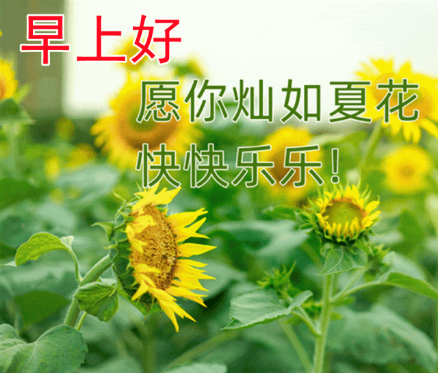 不惹眼，不闹腾，人生是一道亮丽的风景线，(图3)