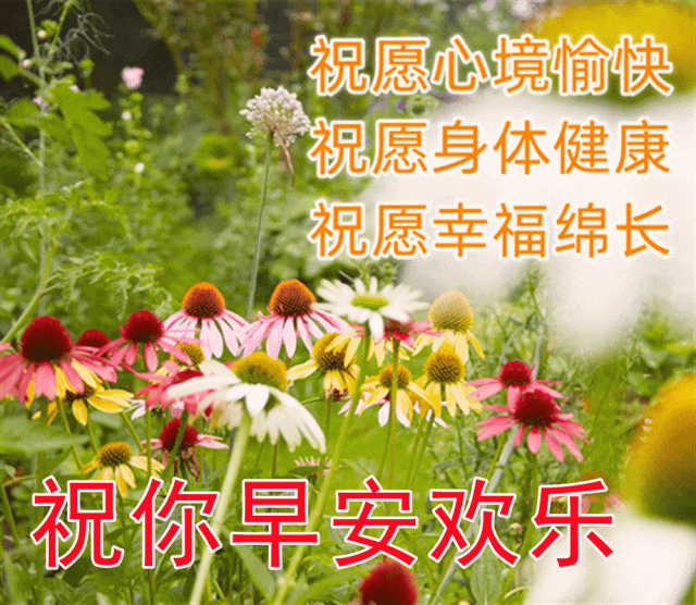 不惹眼，不闹腾，人生是一道亮丽的风景线，(图4)