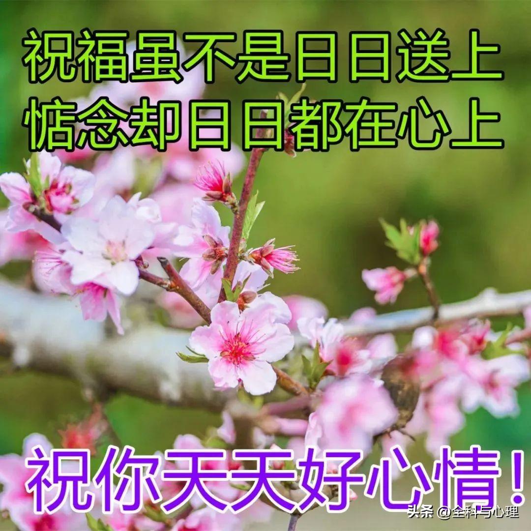 不惹眼，不闹腾，人生是一道亮丽的风景线，(图7)