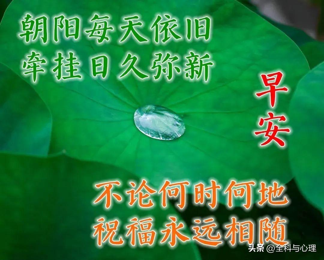 不惹眼，不闹腾，人生是一道亮丽的风景线，(图10)