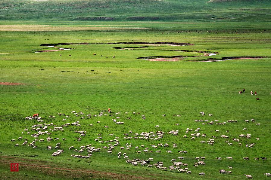 陪你一起看草原系列(一)弯弯的小河(图2) 陪你一起看草原系列(一)弯弯的小河(图2)