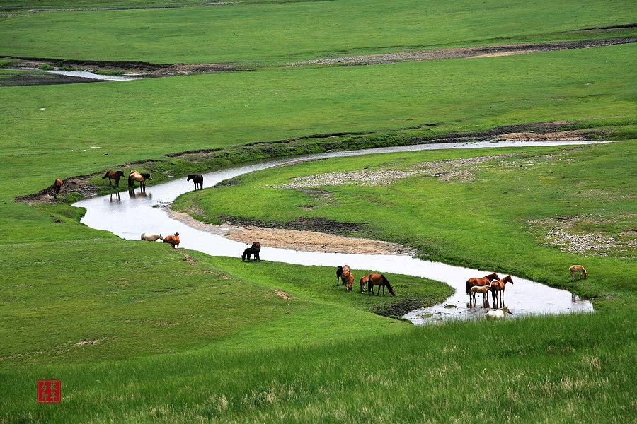 陪你一起看草原系列(一)弯弯的小河(图4) 陪你一起看草原系列(一)弯弯的小河(图4)
