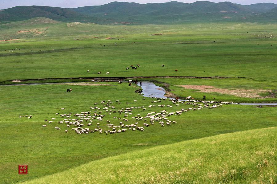 陪你一起看草原系列(一)弯弯的小河(图6) 陪你一起看草原系列(一)弯弯的小河(图6)