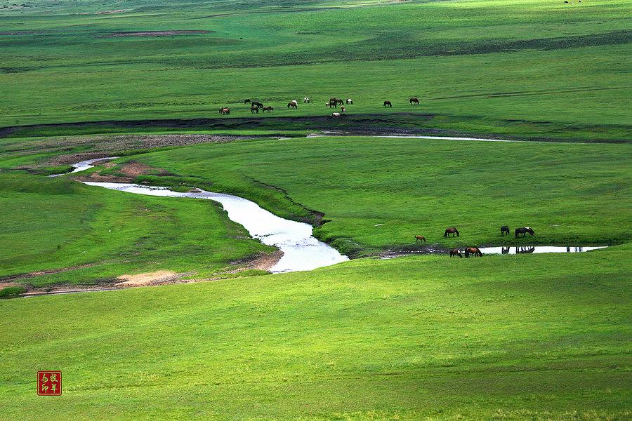 陪你一起看草原系列(一)弯弯的小河(图11) 陪你一起看草原系列(一)弯弯的小河(图11)