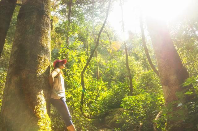 15首诗词致青春：愿你出走半生，归来仍是少年！(图3)