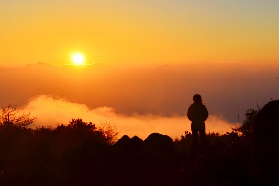 古代天才少年的绝美诗词，飘逸脱俗，读完这10首诗，心都快化了(图2)
