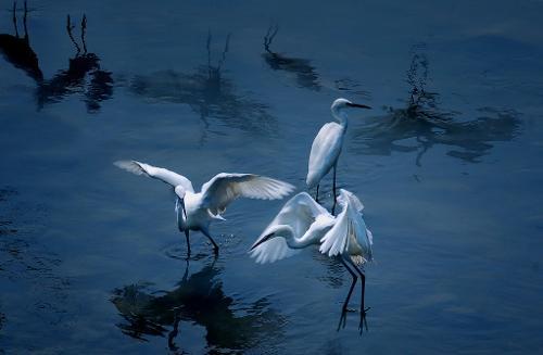 古代天才少年的绝美诗词，飘逸脱俗，读完这10首诗，心都快化了(图5)