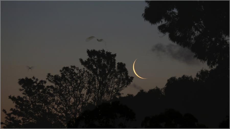 古代天才少年的绝美诗词，飘逸脱俗，读完这10首诗，心都快化了(图12)