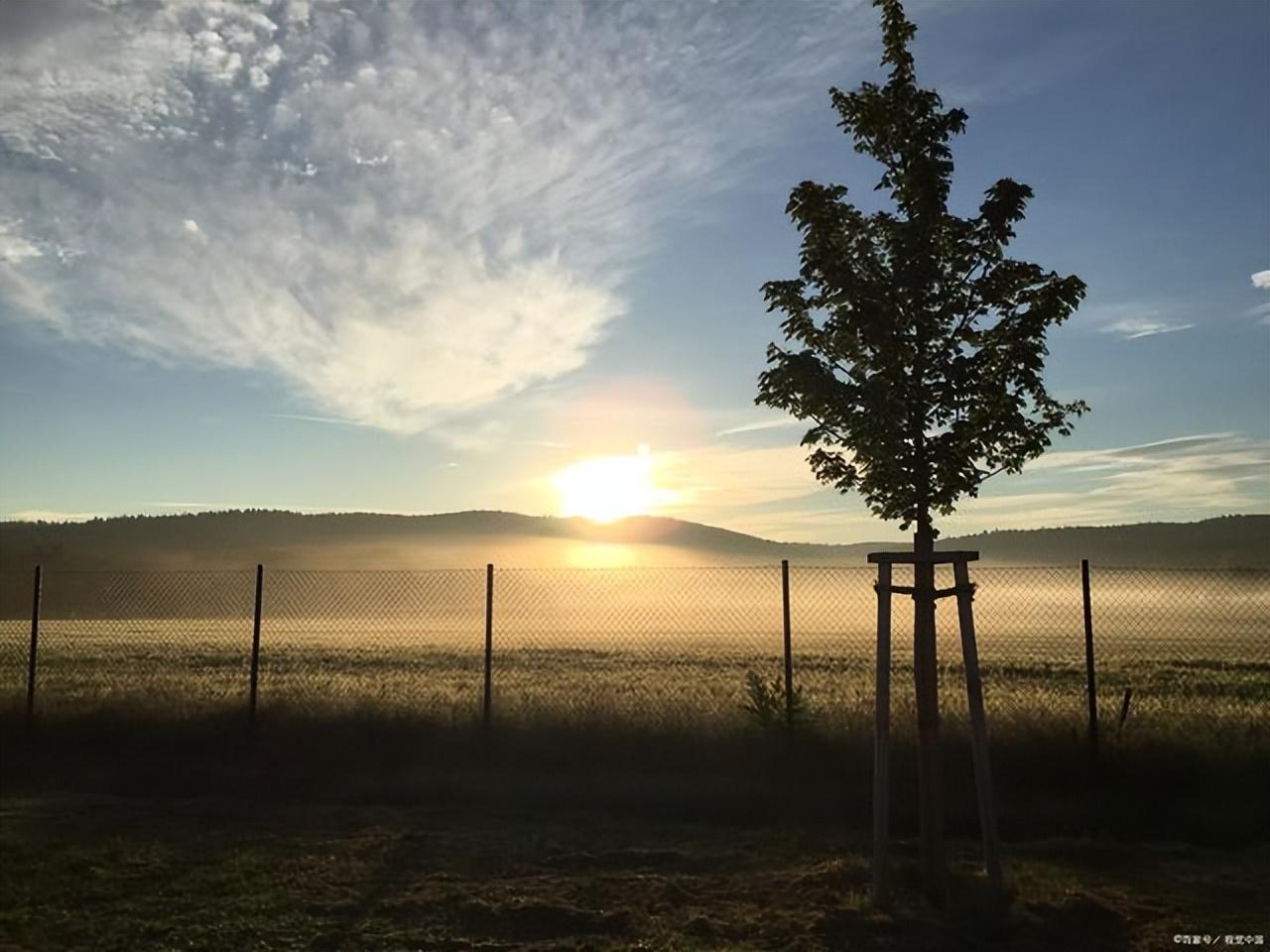 心情不好的时候发朋友圈的句子（难过时发朋友圈的文案）(图1)