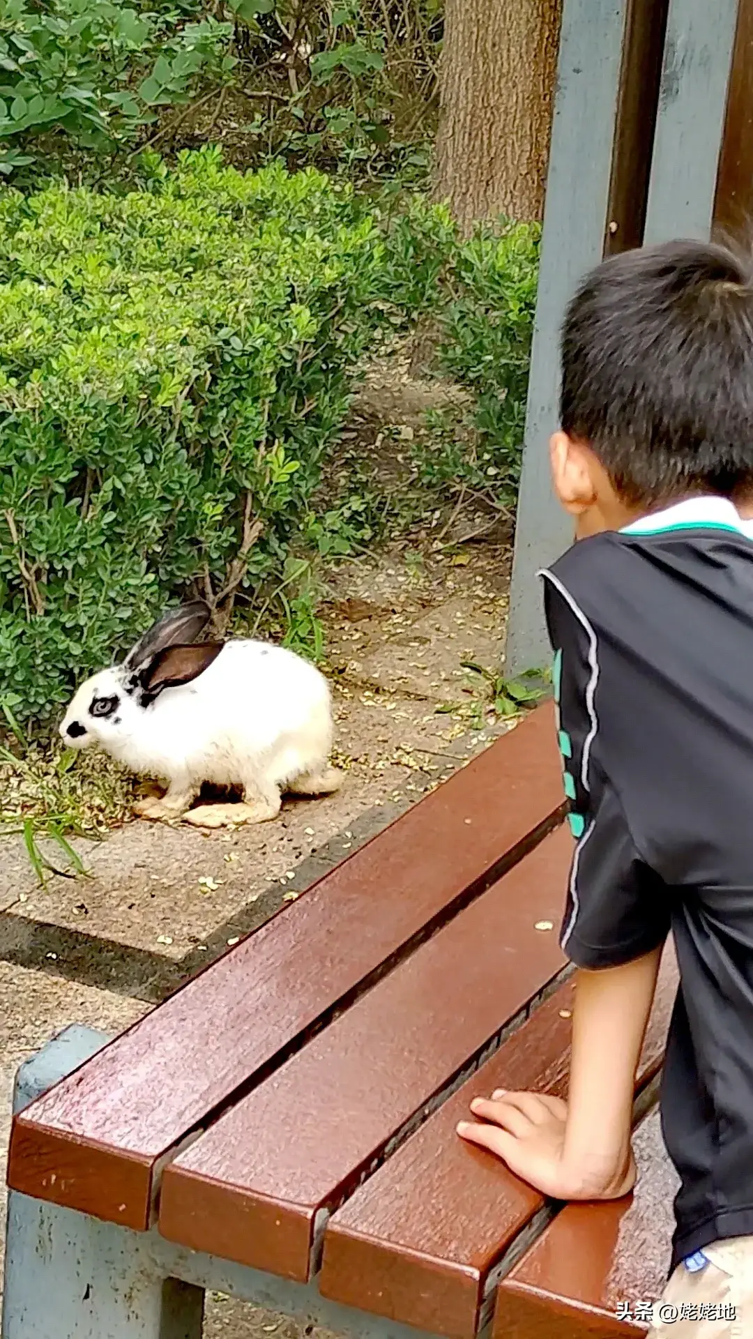 安全第一，美景第二，这是六岁的外孙教育我的精辟语录(图2)