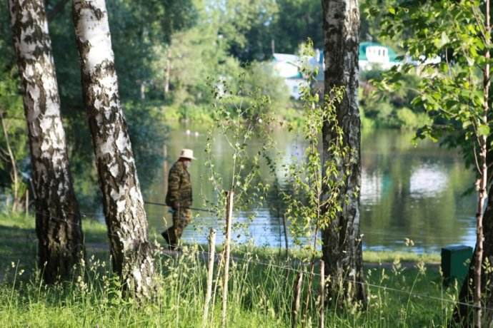 《猎人笔记》最经典的十句话，精美的笔触，描绘出如画的世界(图2)