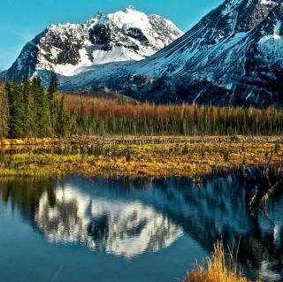 《猎人笔记》最经典的十句话，精美的笔触，描绘出如画的世界(图3)