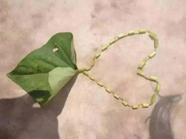 致那些50、60、70、80后的纯真童年，越长大越怀旧，看完泪目(图17)