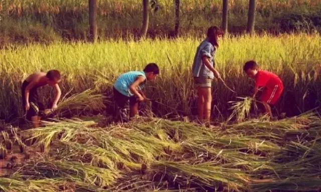 致那些50、60、70、80后的纯真童年，越长大越怀旧，看完泪目(图22)