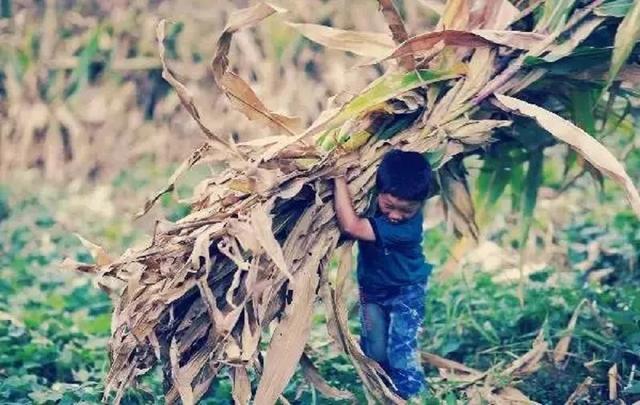 致那些50、60、70、80后的纯真童年，越长大越怀旧，看完泪目(图24)