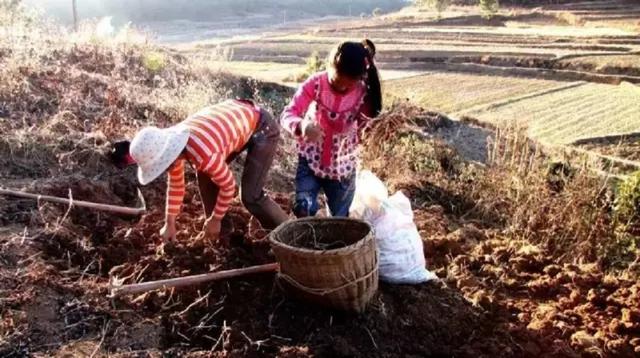 致那些50、60、70、80后的纯真童年，越长大越怀旧，看完泪目(图25)