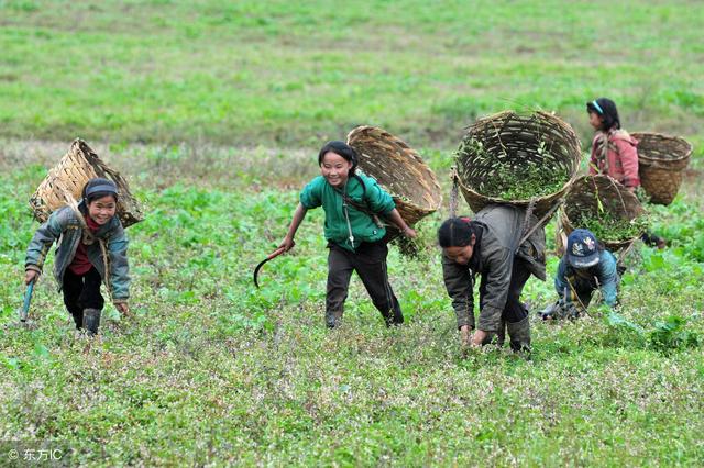 致那些50、60、70、80后的纯真童年，越长大越怀旧，看完泪目(图26)