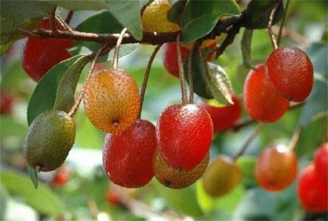 致那些50、60、70、80后的纯真童年，越长大越怀旧，看完泪目(图28)