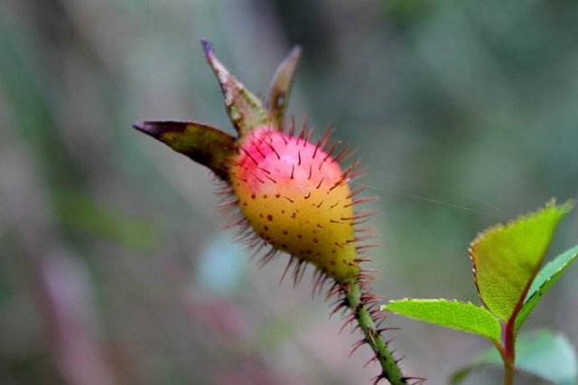 致那些50、60、70、80后的纯真童年，越长大越怀旧，看完泪目(图30)