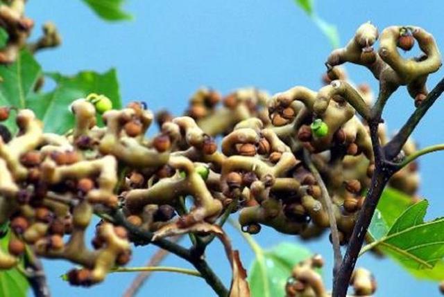 致那些50、60、70、80后的纯真童年，越长大越怀旧，看完泪目(图31)