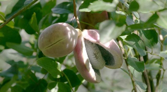 致那些50、60、70、80后的纯真童年，越长大越怀旧，看完泪目(图32)