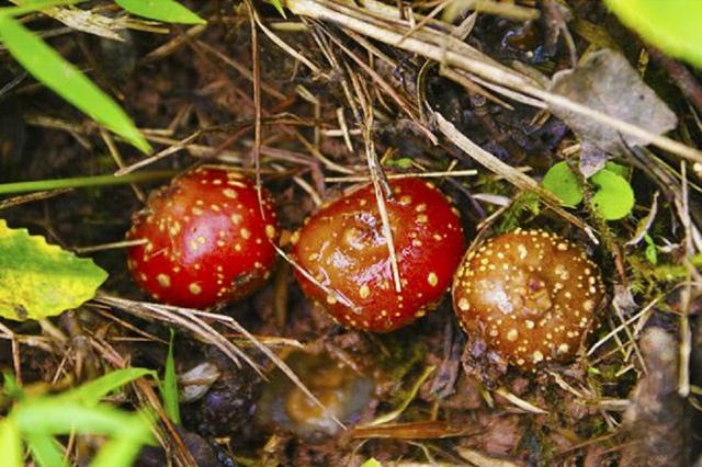 致那些50、60、70、80后的纯真童年，越长大越怀旧，看完泪目(图34)