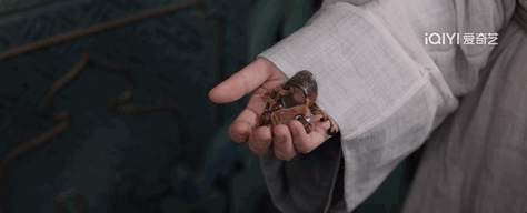 成年人的江湖，全是人情世故？(图27)