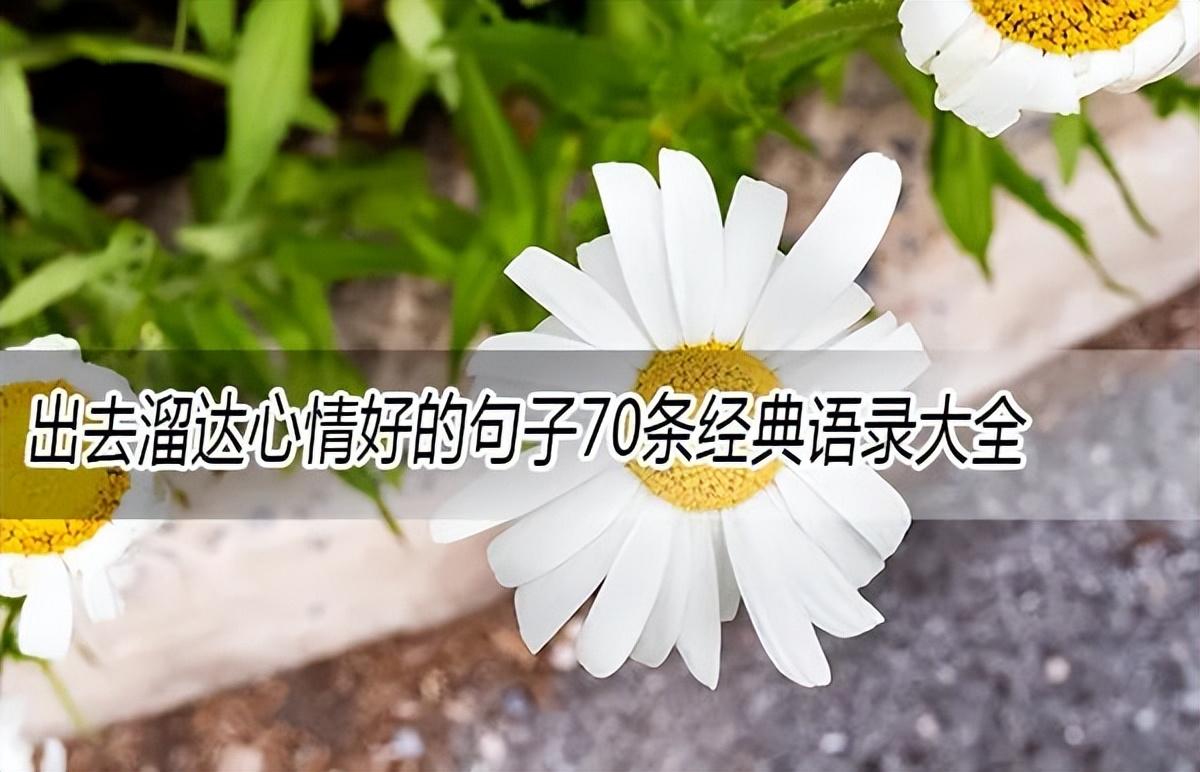 出去溜达心情好的句子70条经典语录大全(图1)