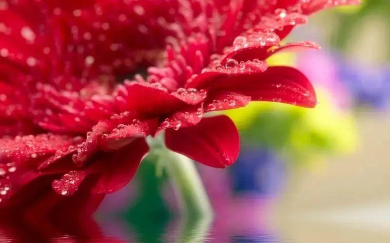 出去溜达心情好的句子70条经典语录大全(图2)