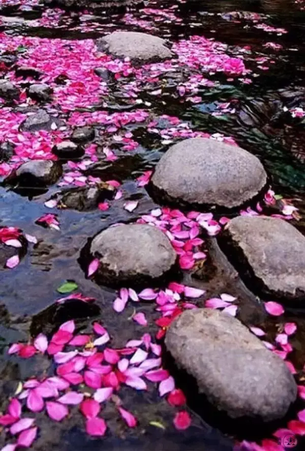 9首红尘诗词,走过多年,归人心何凄?(图3) 9首红尘诗词,走过多年,归人心何凄?(图3)