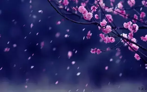 9首红尘诗词,走过多年,归人心何凄?(图5) 9首红尘诗词,走过多年,归人心何凄?(图5)