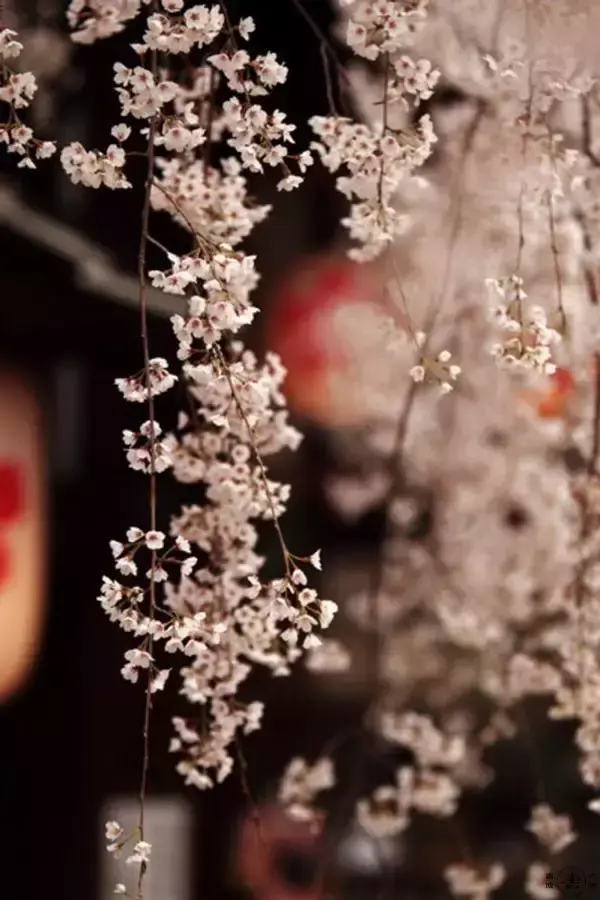 9首红尘诗词,走过多年,归人心何凄?(图7) 9首红尘诗词,走过多年,归人心何凄?(图7)